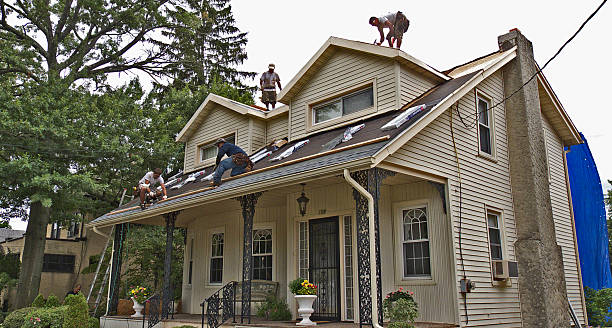 Best Metal Roofing Contractor  in Richmond, UT